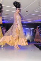 Aarti Chabriya Launches Osadia Garden City Logo